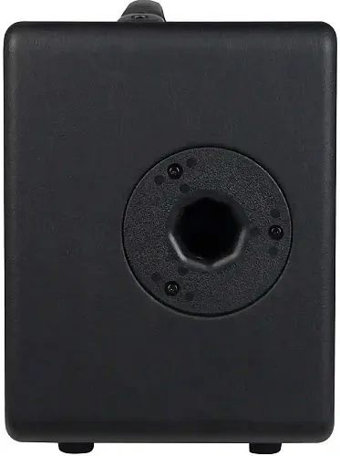 Joyo AC-40S Комбоусилитель для акустической гитары портативный.